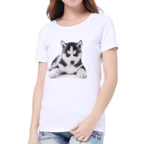 Women 3D Cat Print T-Shirt