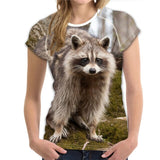 Cute Printing Raccoon Women T-shirt