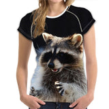 Cute Printing Raccoon Women T-shirt