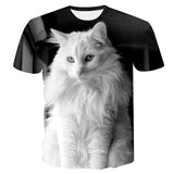 Off White Cat PrintWomen T-shirt