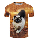 Black Cat 3D Print Women T- shirt