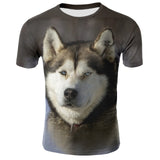 3D Dog Printing Men Tshirt